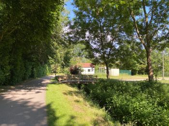 Tour Wandern Wemmel - Wemmel Beverbos 6 km - Photo