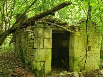 Randonnée Marche nordique Tronchoy - vézinne  bernouil - Photo