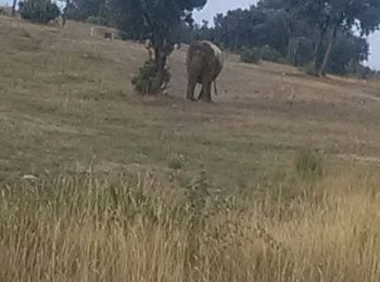 Randonnée Marche Peille - la Turbie - Photo