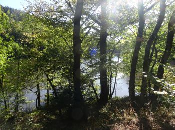 Randonnée V.T.T. Habay - Habay la Neuve jusque Vlessart en passant par la réserve naturelle du ruisseau de l'Arlune - Photo