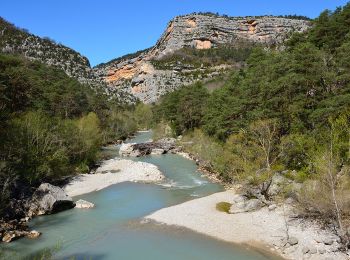 Excursión Senderismo Trigance - Trigance - Belvédère de Trescaine - Pt du Tusset - Point Sublime - Rougon - Pt de Carajuan - Pt de Sautet - Photo