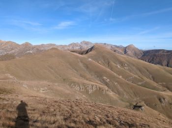 Tocht Stappen Limone Piemonte - Col de Tender-tour des forts - Photo