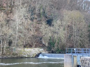 Excursión Senderismo Saint-Jean-sur-Mayenne - Le 19 02 2023 - Photo