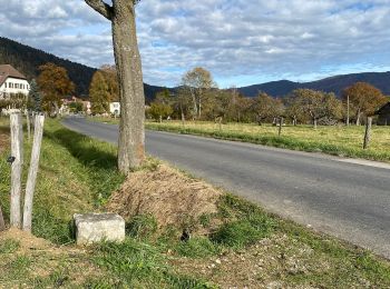 Trail On foot Val-de-Ruz - Grand Chezard-Villars - Photo