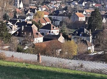 Tocht Stappen Neuvy-sur-Loire - neuvy dur loire - Photo