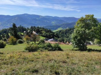 Randonnée Marche Hohrod - Hohrodberg matin - Photo