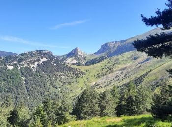 Percorso Marcia Glandage -  Le Joucou par Crête des Amousières Grimone12km - Photo