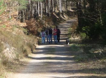 Randonnée A pied Carlsberg - Rundweg Rahnenhof 4 - Photo