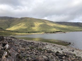 Tocht Stappen  - Ecosse Clunie - Photo