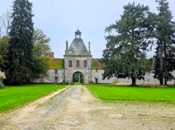 Tour Zu Fuß Bombon - Boucle 30 km autour de Bombon - Photo