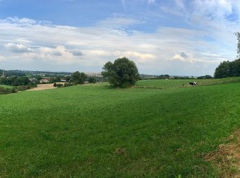 Randonnée A pied Aix-la-Chapelle - GrenzRouten: Naturerlebnispfad 4,4 km (Blau) - Photo