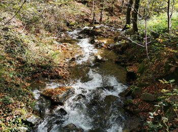 Excursión Senderismo Auxelles-Haut - boucle auxelles-haut, super planche et étang des belles filles  - Photo