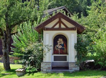 Tour Zu Fuß Gemeinde Schwendau - Wanderweg 9 - Photo