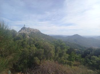 Tour Wandern Évenos - Le Mont Caume 22.10.23 - Photo