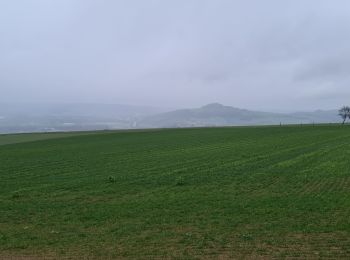 Tocht Stappen Loisy - grand couronné - Photo