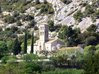 Randonnée Marche Beaumes-de-Venise - Les deux chapelles de Beaumes de Venise par Grand Montmirail 16km. - Photo