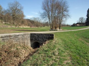 Trail On foot Bietigheim-Bissingen - Besen - Photo