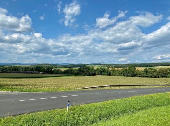 Tocht Te voet Bad Tatzmannsdorf - Lauf/Walkingweg L18 - Photo