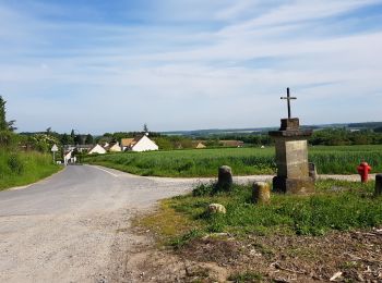 Trail Walking Champagne-sur-Oise - mauvais gps - Photo