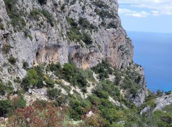 Excursión Senderismo Baunei - Punta Giralidi  - Photo