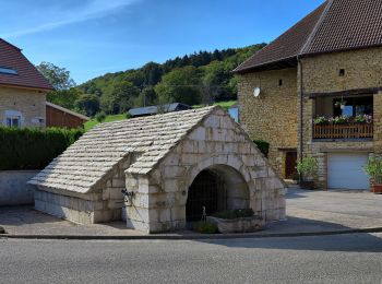 Percorso A piedi Bretigney-Notre-Dame - Les Gorges de l'Audeux - Photo