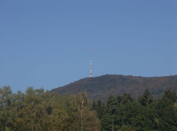 Excursión A pie Furth im Wald - Fu03 Hohenbogenweg - Photo