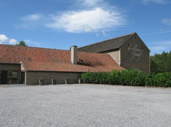 Percorso A piedi Tongeren - Molsterbos - Photo