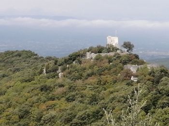 Excursión Senderismo Seynes - Le mont bouquet  - Photo