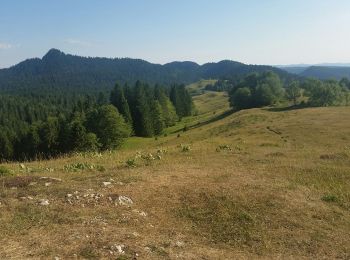 Tour Wandern La Pesse - la pesse - Photo