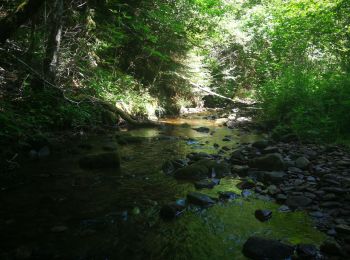 Randonnée Marche Larodde - larodde - Photo