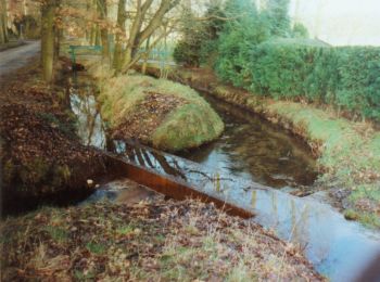 Randonnée A pied Apeldoorn - Loenense Enkenpad - Photo
