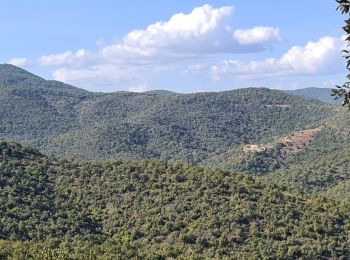 Randonnée Marche Sainte-Maxime - circuit panoramique Ste Maxime - Photo