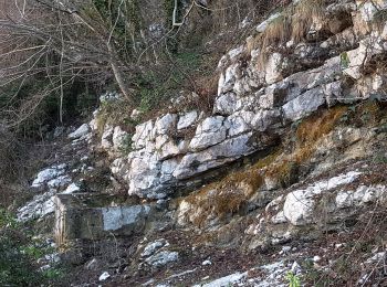 Trail On foot Sezze - Longara-Valle Naforte-Monte La Croce - Photo