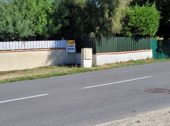 Excursión Bicicleta híbrida Dolus-d'Oléron - oleron sortie 1 - Photo