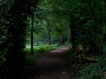 Tour Zu Fuß Aachen - Waldrundweg Rot 1 - Photo