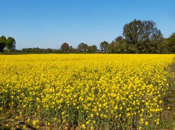 Tour Zu Fuß Montferland - Bekermark - Photo