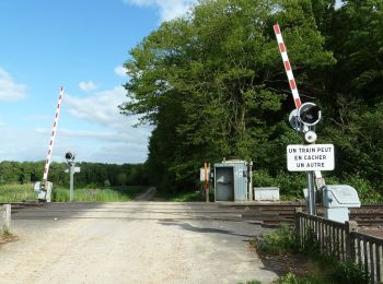 Randonnée Marche Villers-Cotterêts - Domaine de Coyolles - Photo