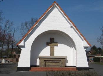 Tour Zu Fuß Houthalen-Helchteren - Wilgenwandeling Vallei Mangelbeek - Photo