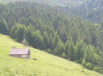 Trail Walking Artigue - Artigue par la cabane du plan Bosc et la cabane de Saunères - Photo