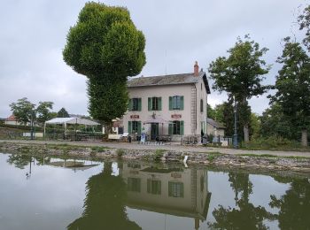 Excursión Senderismo Briare - Briare - Photo