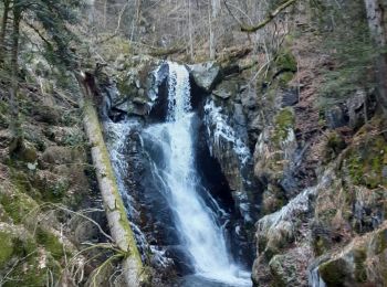 Tour Wandern Linthal - lac lauch - Photo