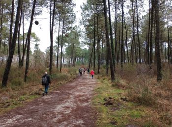 Trail Walking Martillac - Martillac - Photo