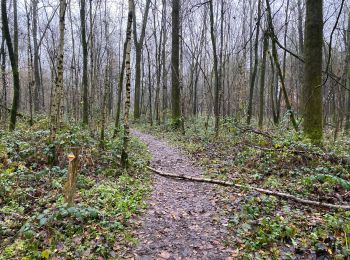 Trail Walking Maldegem - Kleit 22,5 km - Photo
