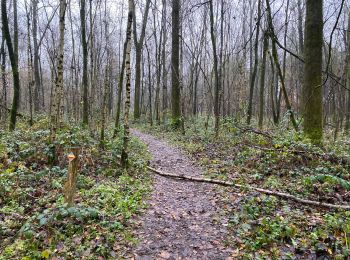 Tour Wandern Maldegem - Kleit 22,5 km - Photo