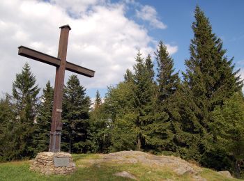 Percorso A piedi Pöllauberg - Masenberg über Staudach Weg 16 - Photo