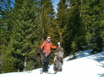 Trail Touring skiing Ormont-Dessous - les mosses/pra croset - Photo