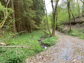 Randonnée Marche Rochefort - Jemelle 22 km - Photo