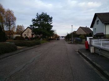 Trail Walking Sentheim - Sentheimtour Covid série 2 bis - Photo