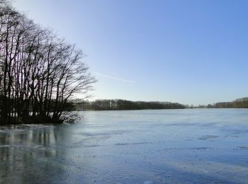 Tocht Te voet Dümmer - Rad-Wanderweg - Photo