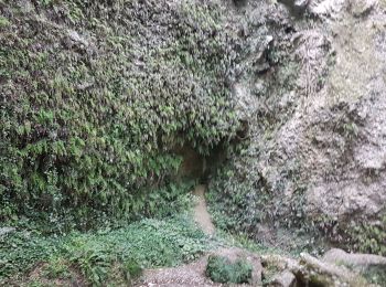 Randonnée Marche Aspremont - VALLONS OBSCUR - Photo